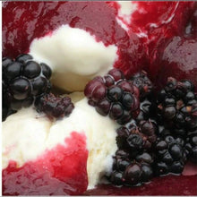 Load image into Gallery viewer, Black Raspberry Vanilla Mop Soap