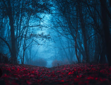 Load image into Gallery viewer, Mysterious forest with blue fog and red leaves on the ground

